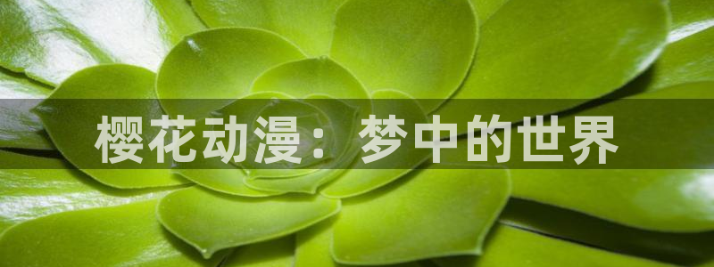 下载omofun：樱花动漫：梦中的世界