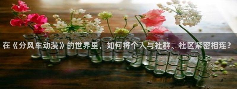 omofun纯净无广告版：在《分风车动漫》的世界里，如何将个人与社群、社区紧密相连？