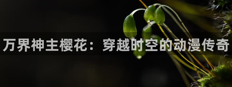 omofun吧：万界神主樱花：穿越时空的动漫传奇