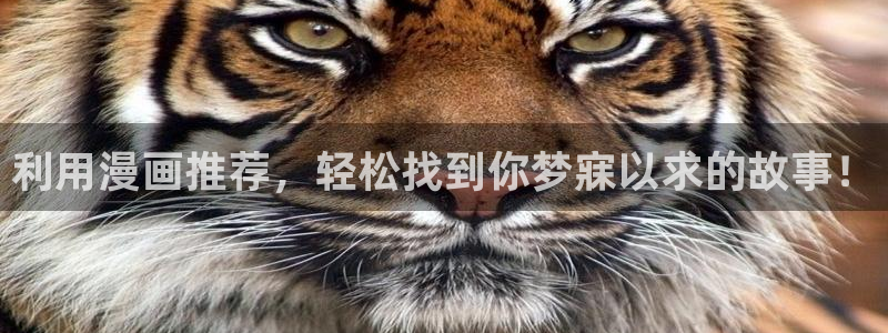 omofun动漫共和国：利用漫画推荐，轻松找到你梦寐以求的故事！