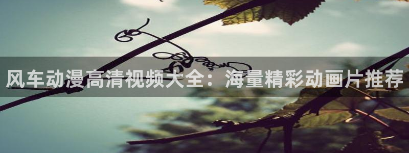 omofun是正经软件吗：风车动漫高清视频大全：海量精彩动画片推荐