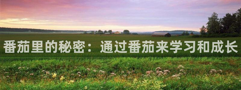 omofun动漫官方下载app：番茄里的秘密：通过番茄来学习和成长