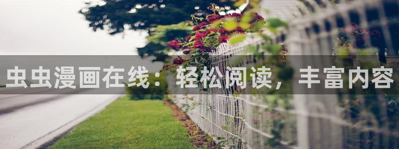omofun轻量版：虫虫漫画在线：轻松阅读，丰富内容