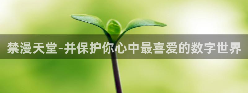 omofun纯净版无广告：禁漫天堂-并保护你心中最喜爱的数字世界