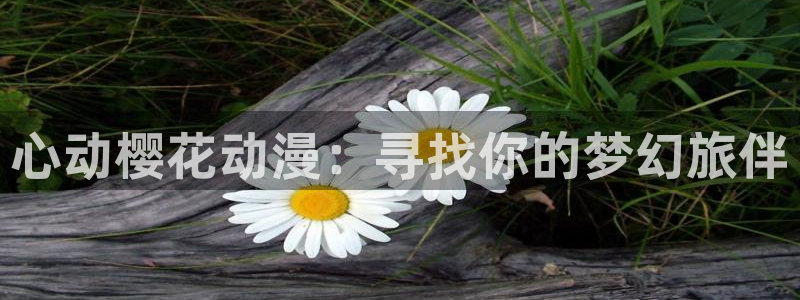 omofun.：心动樱花动漫：寻找你的梦幻旅伴