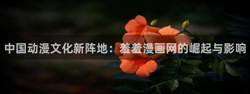 omofun苹果能下载吗：中国动漫文化新阵地：羞羞漫画网的崛起与影响
