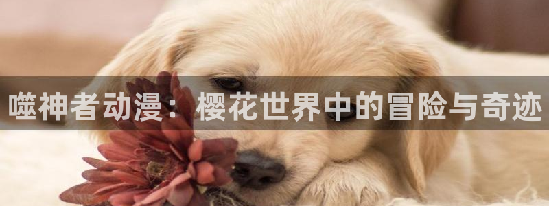 动漫软件omofun：噬神者动漫：樱花世界中的冒险与奇迹