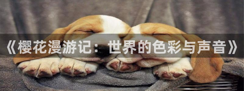 #omofun：《樱花漫游记：世界的色彩与声音》