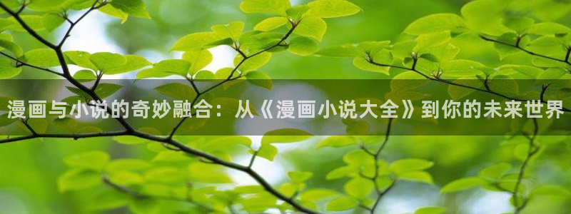 omofun下载官网：漫画与小说的奇妙融合：从《漫画小说大全》到你的未来世界