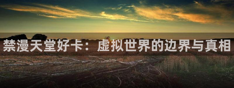 omofun苹果自签：禁漫天堂好卡：虚拟世界的边界与真相